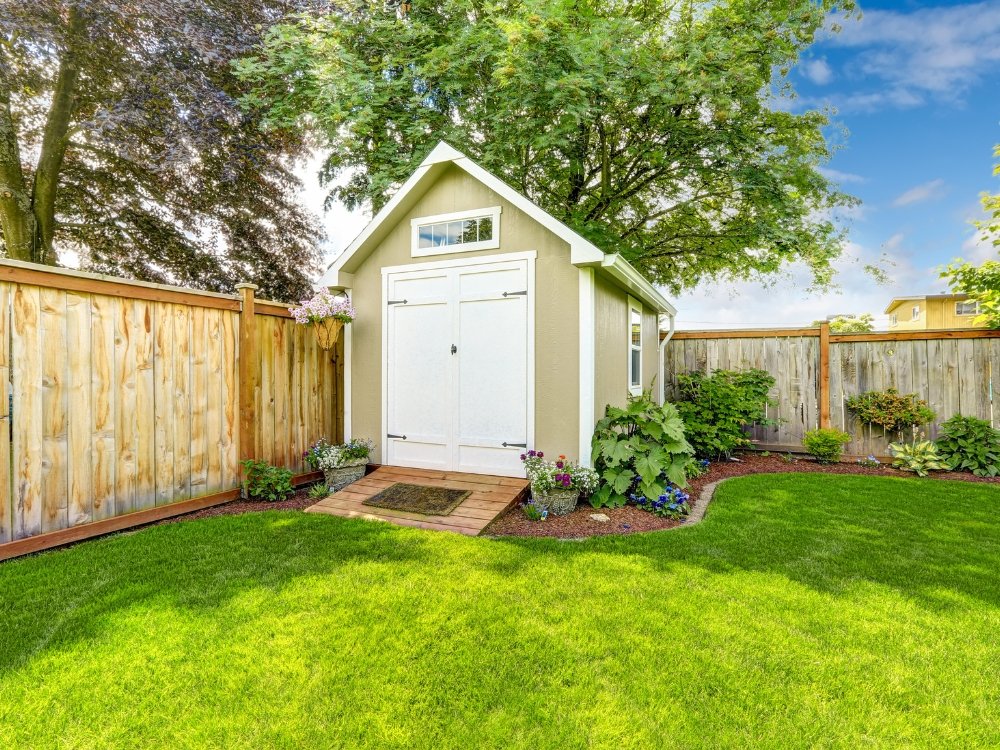 Shed Moving about