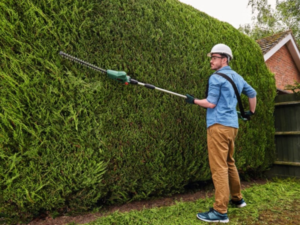 Tree pruning about
