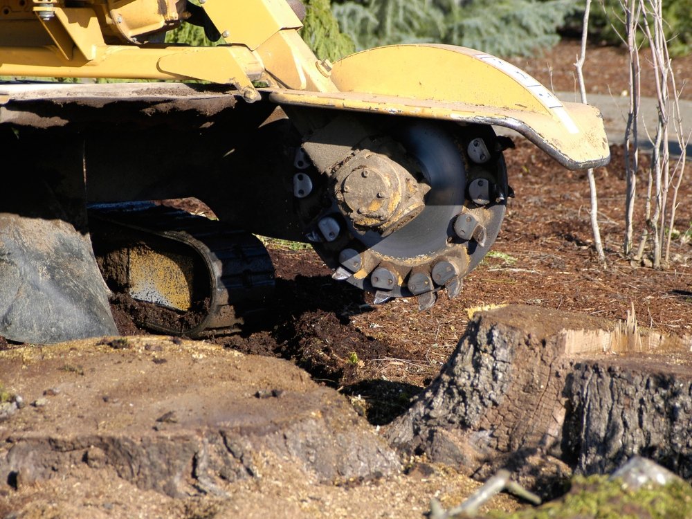 stump grinding about
