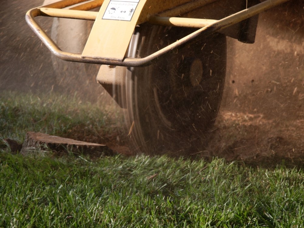 stump grinding about
