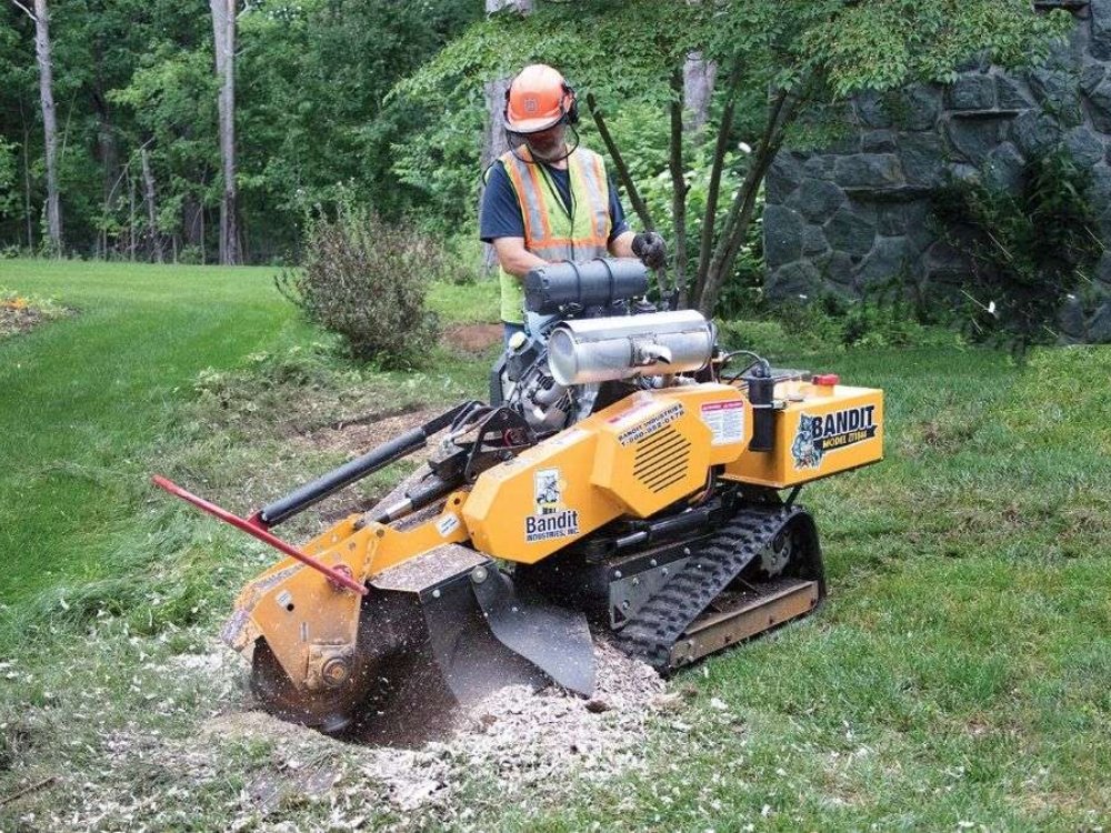 stump grinding about