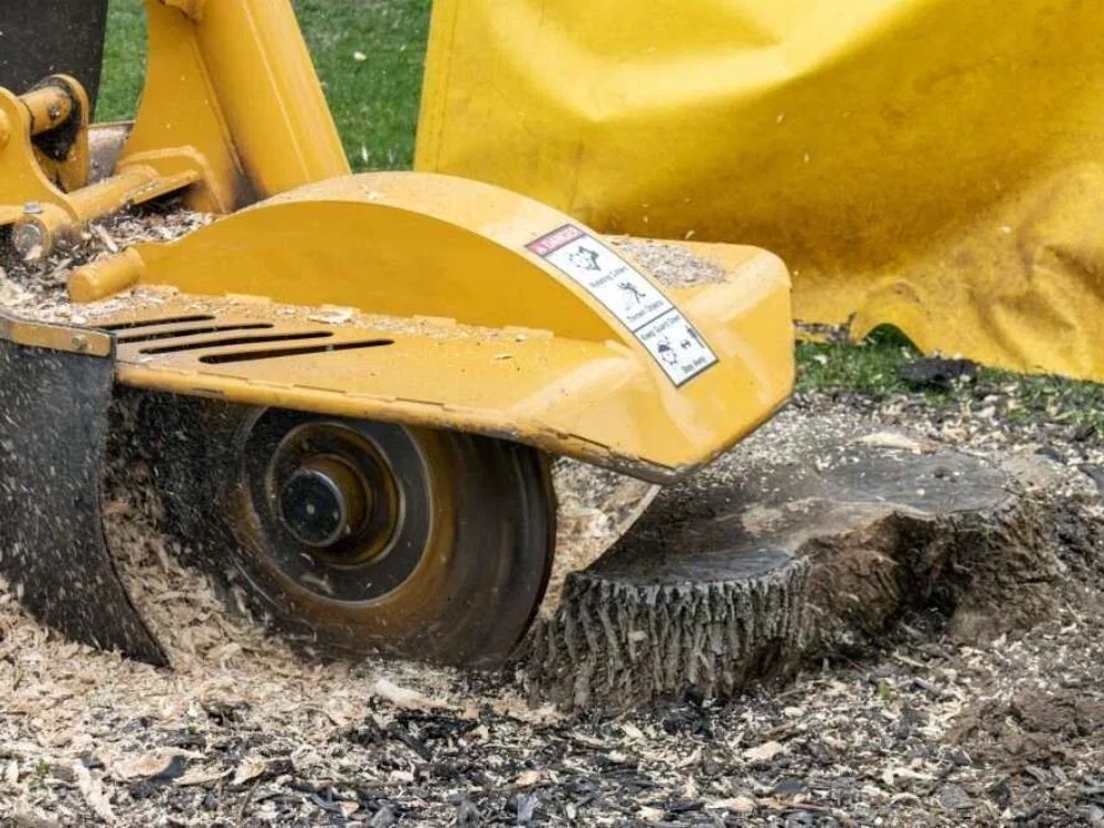 stump grinding about