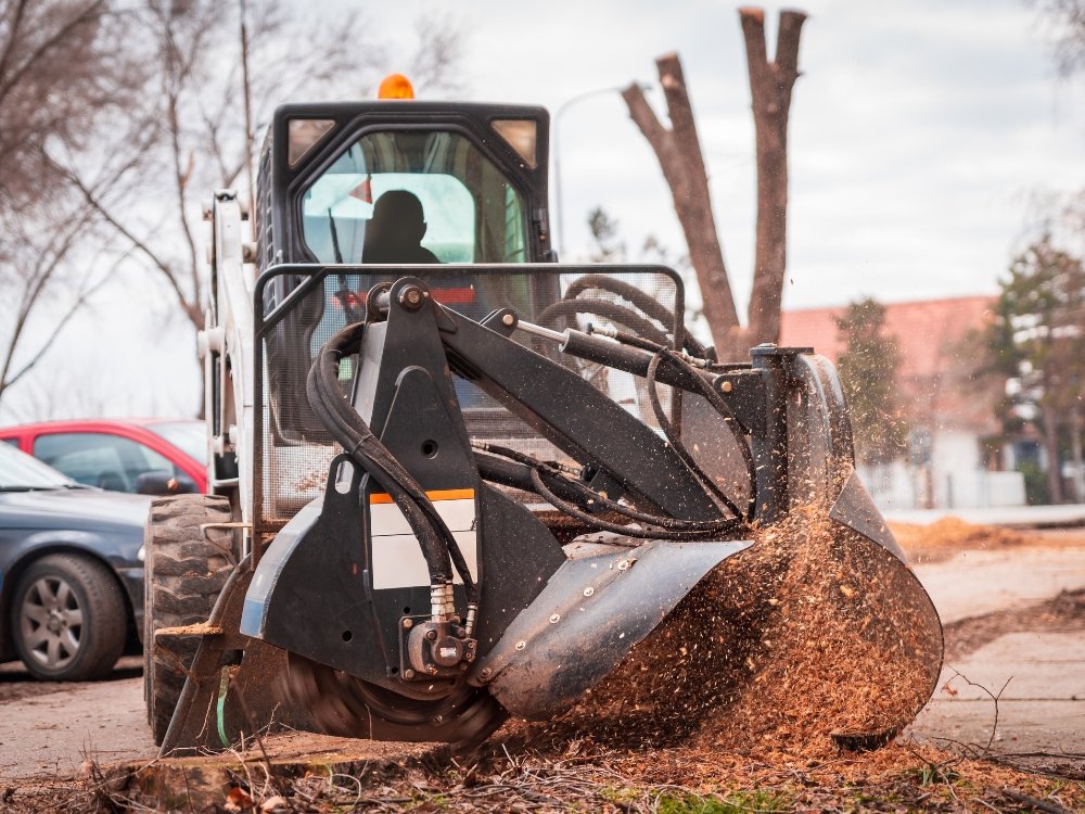 stump grinding about
