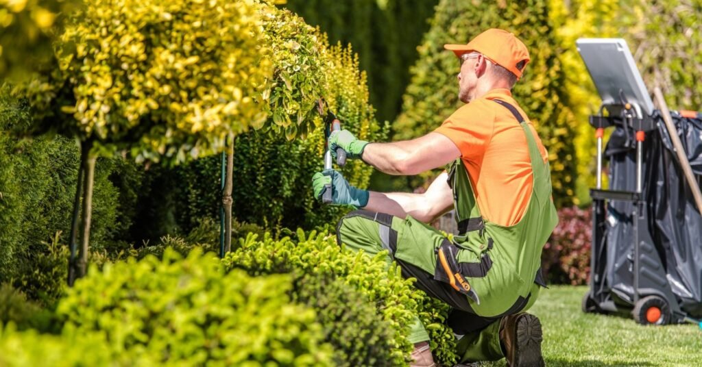 Landscaping