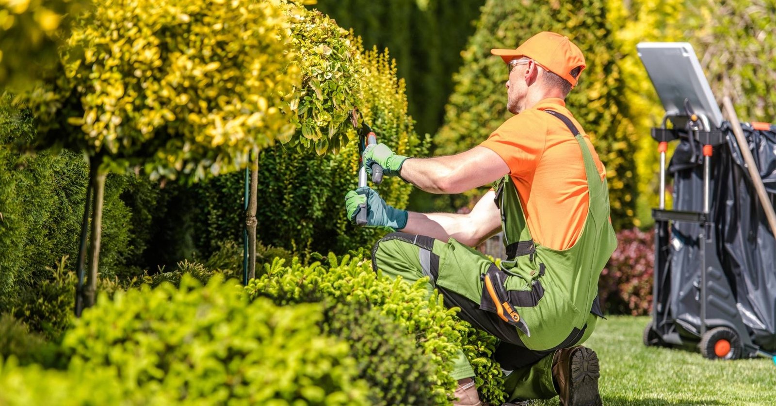 What Do Landscaping Companies Do?