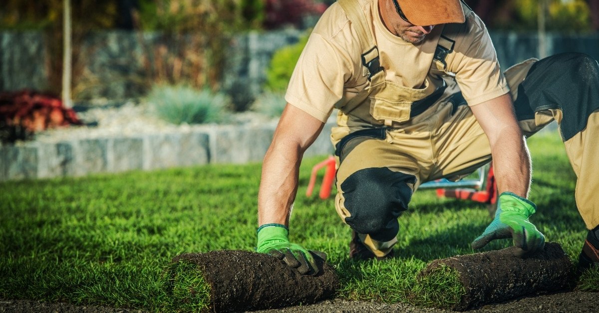 Landscaping