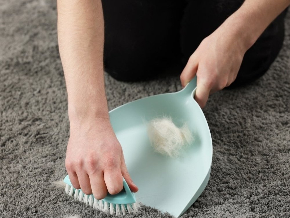 Pet Odor Removal about