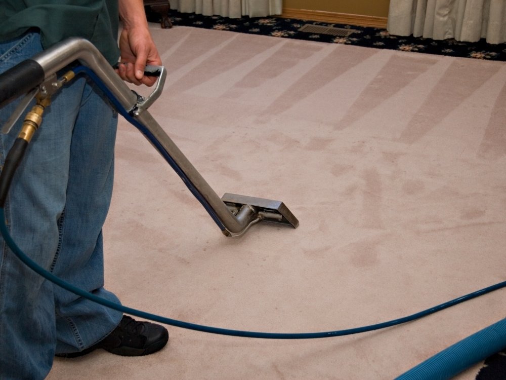 steam Carpet Cleaning about