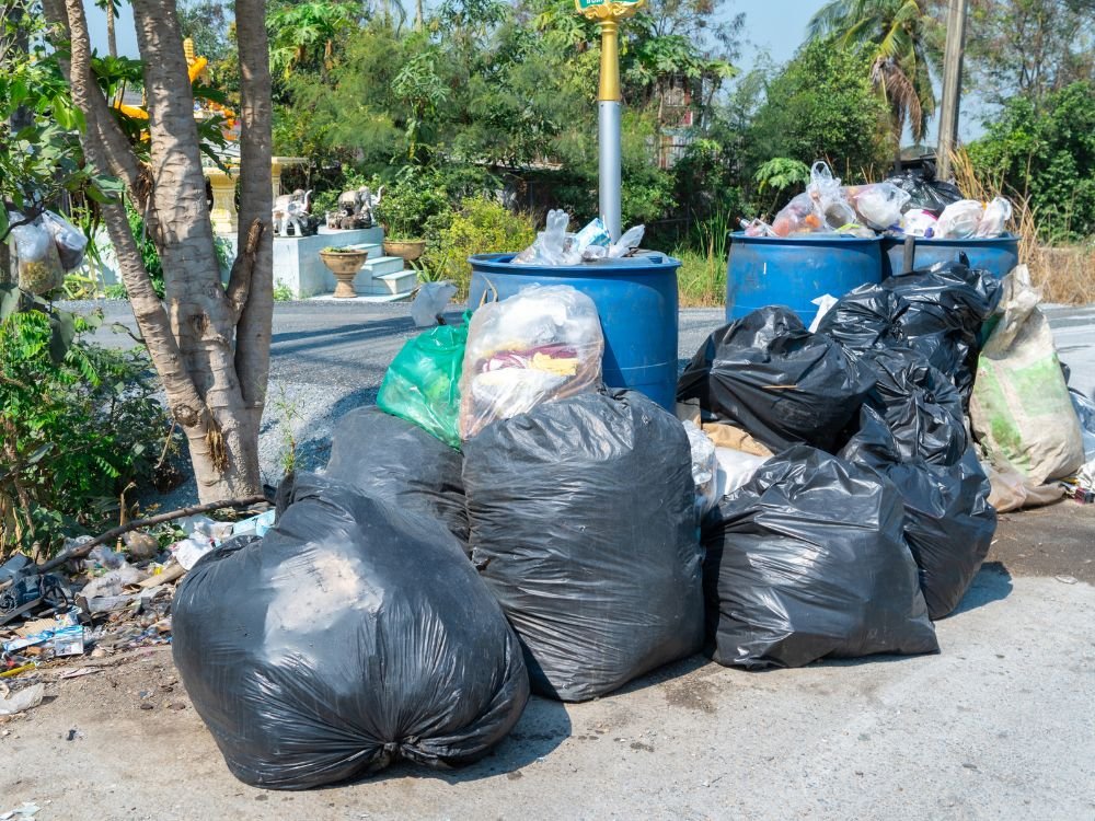 Trash Removal